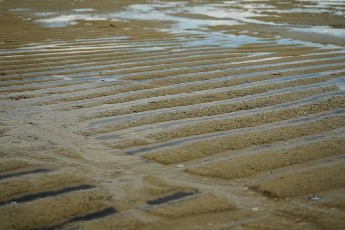 Spring Tides vs Neap Tides: Why the Sea Sometimes Goes Out Much Further